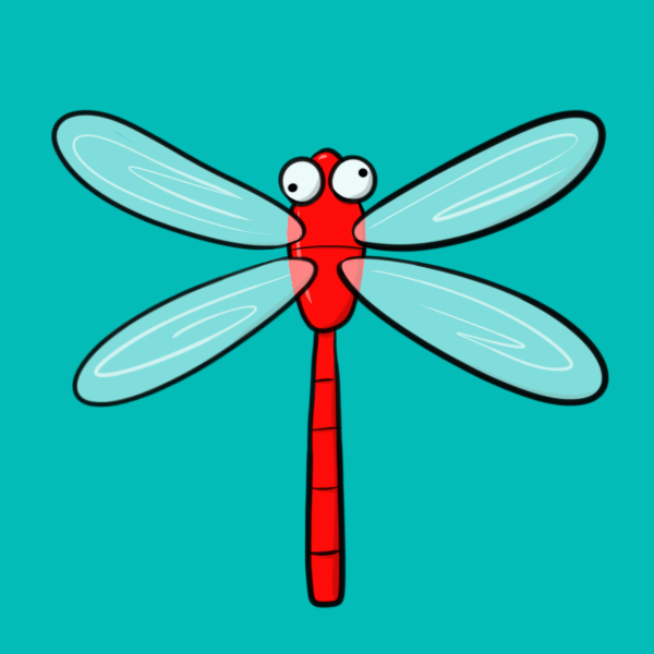 Dragonfly turquoise